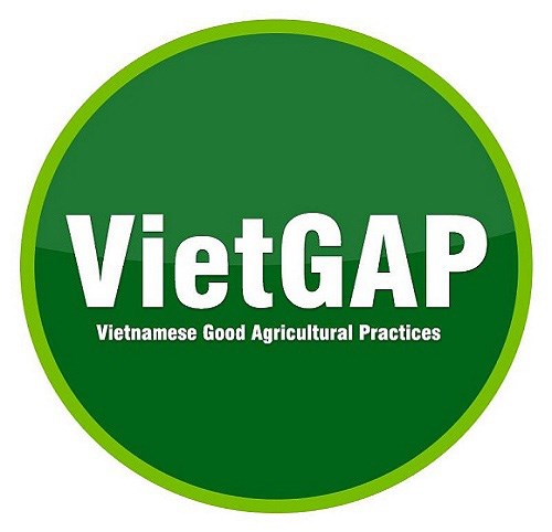 Tư vấn chứng nhận VietGAP
